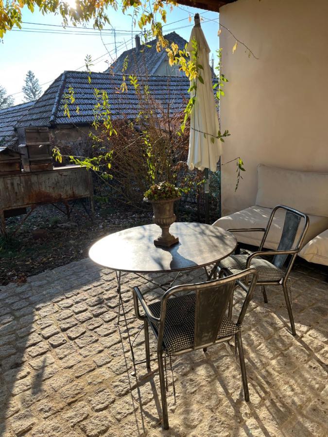 Studio De Charme Avec Terrasse Privee, Jardin Partage ブーウィラー エクステリア 写真
